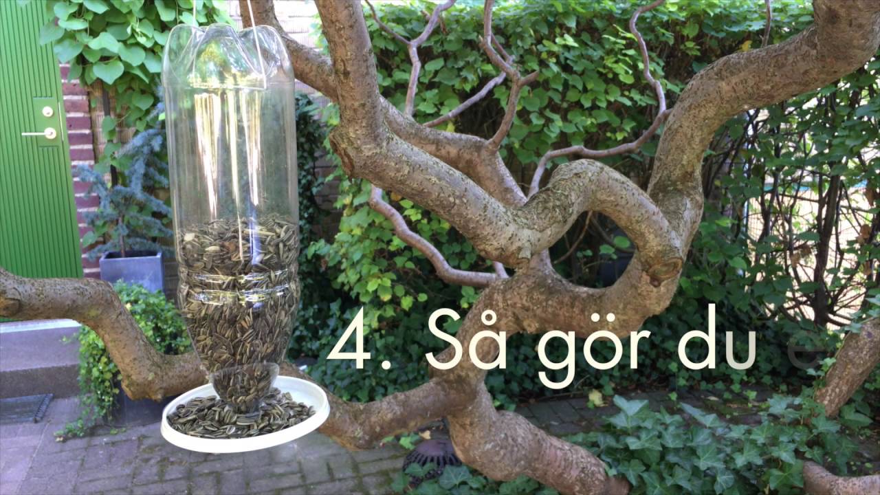 6 saker du kan göra av petflaskor