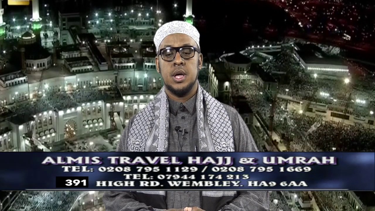 almis travel and alkhayr travel