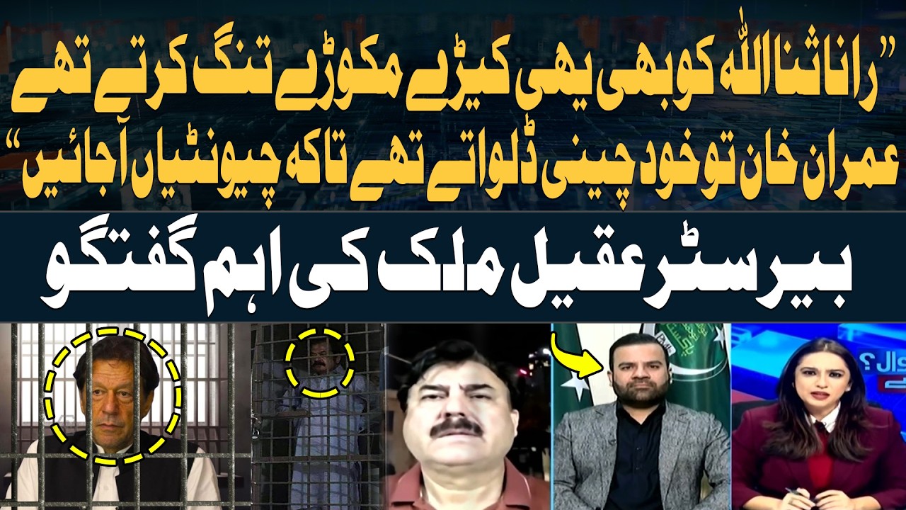 Rana Sanaullah Faced the Same Issues - Imran Khan Even Added Sugar to Attract Ants: Aqeel Malik