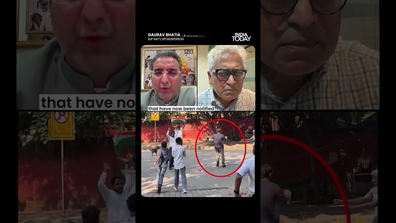 BJP&rsquo;s Gaurav Bhatia Calls CJP Leaders &lsquo;Anarchists&rsquo; Over Jantar Mantar Protest #shorts