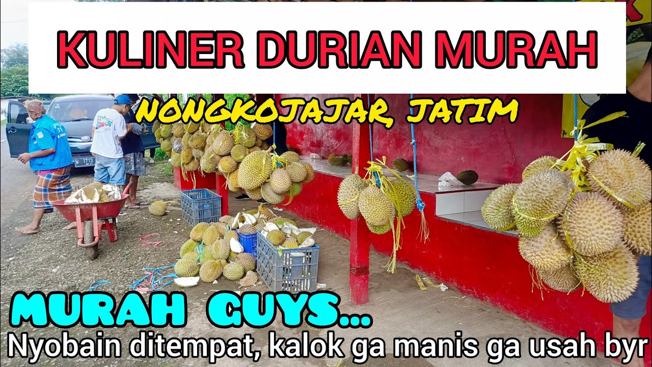 KULINER DURIAN DI NONGKOJAJAR 