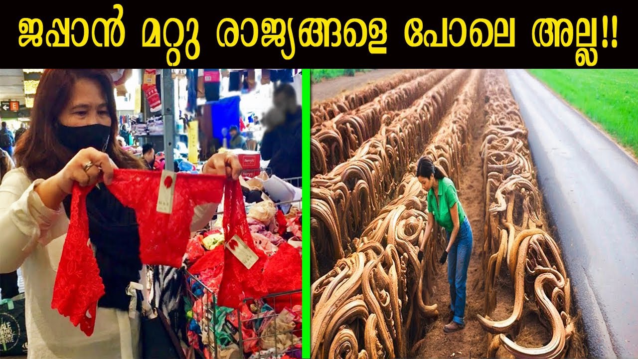 ഭാഗ്യം കൊണ്ടുവരുന്ന ഷെഡ്ഡിയോ?വിവാഹത്തിന് മരം മുറിക്കുന്ന ആചാരമോ?Crazy Laws That Still Exist in World