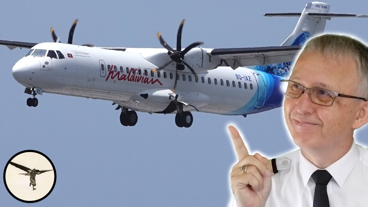 Хаки ATR, о которых вы могли не знать — Часть 2