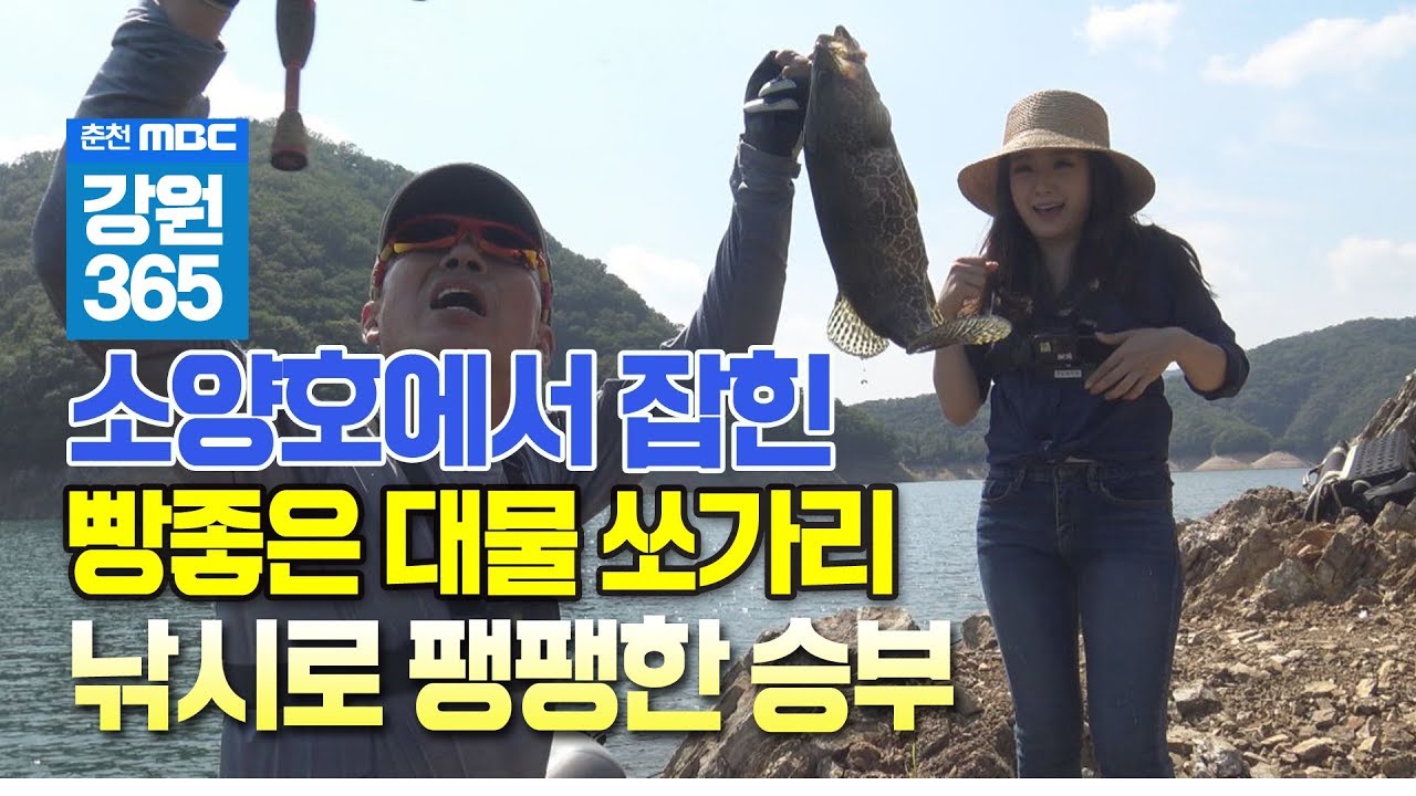 [8월26일방송]소양호에서 대물 쏘가리를 낚다-쏘가리 낚시가 엄청 쉬워요