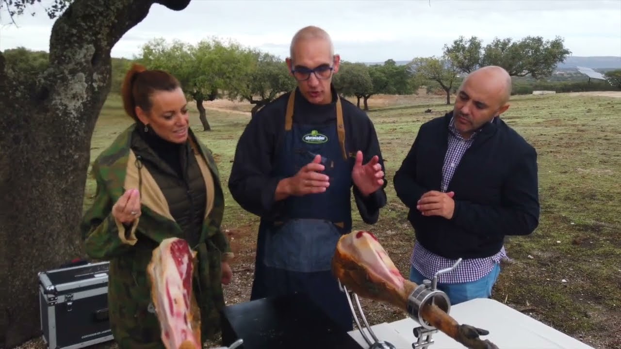Diferencias entre un jamón ibérico de bellota y un jamón ibérico cebo de campo #jamon #iberico