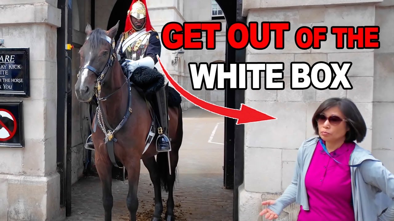 Royal Guard Warns: 'Stay Out of the White Box!' (Caught on Camera)