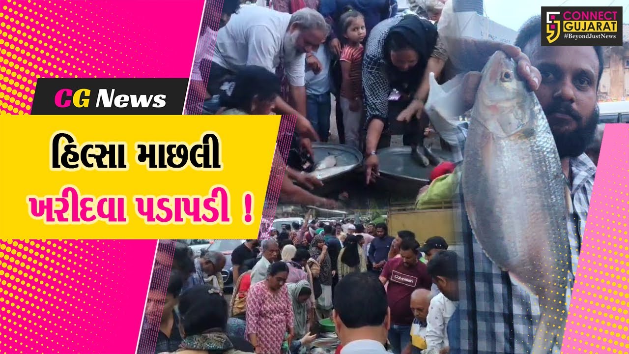 ભરૂચ: હિલ્સા માછલીની બમ્પર આવક વચ્ચે બરફની અછતના કારણે ભાવ ગગડયા, મરછી ખરીદવા જાણે મેળો ભરાયો