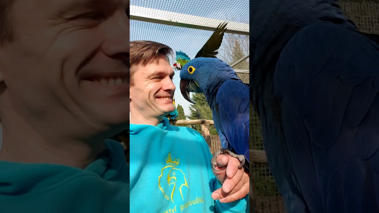 744 - Pavel s akčn&iacute;mi ary ve voli&eacute;ře