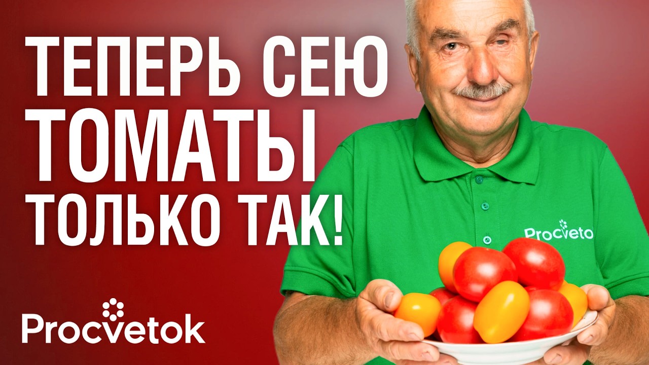 ЖАЛЕЮ, ЧТО РАНЬШЕ НЕ СЕЯЛ ТАК ТОМАТЫ! Растут крепкими, коренастыми и фитофтора им не страшна