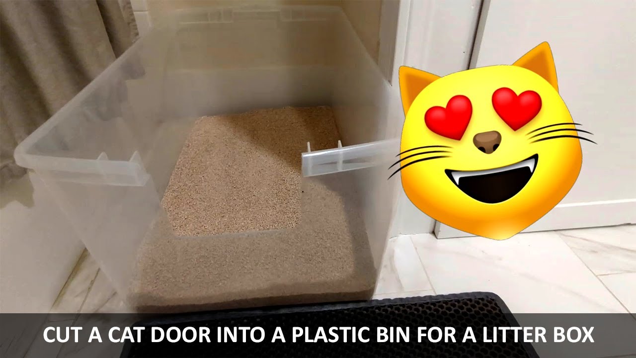 Cutting Cat Box Out Of Plastic Storage Bin #catbox #diy