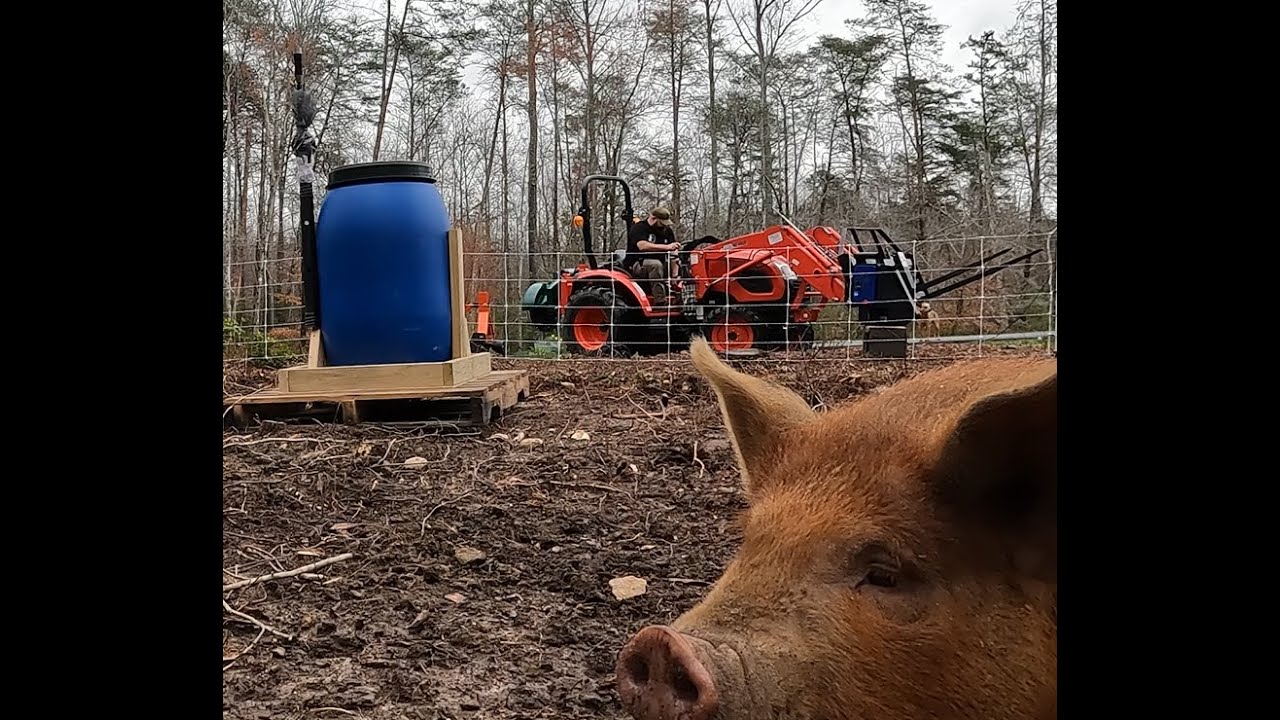 Check Out My DIY Hog Feeder!
