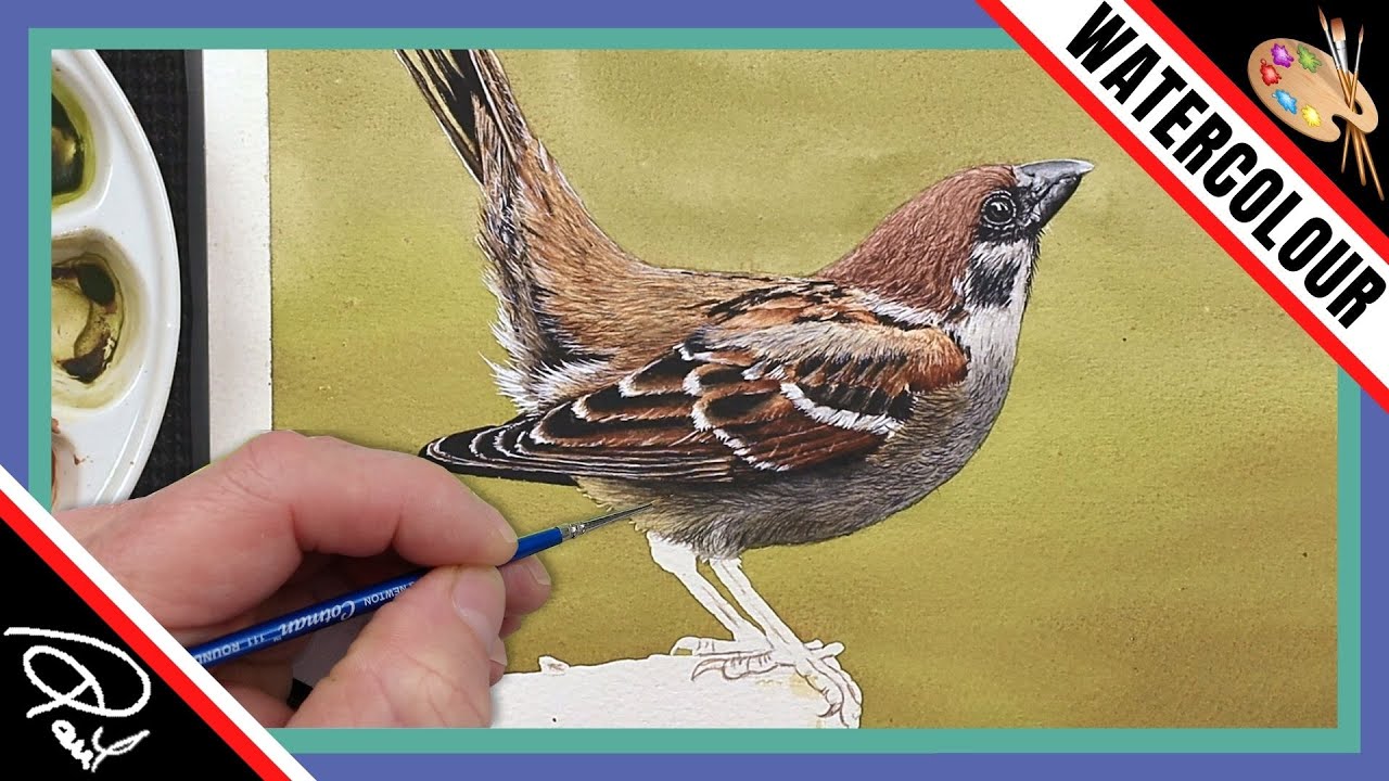 Painting Feathers in LAYERS (Best Way to Paint Feathers)