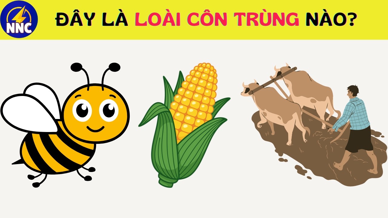 Đuổi Hình Bắt Chữ 🐜 Đây Là Loài Côn Trùng Nào? | 30 Câu – 10 Giây | Nhanh Như Chớp