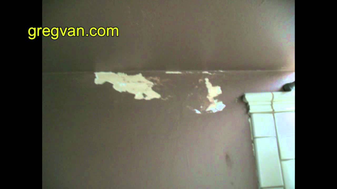 Bathroom Wall Moisture Damage - Fix This Immediately