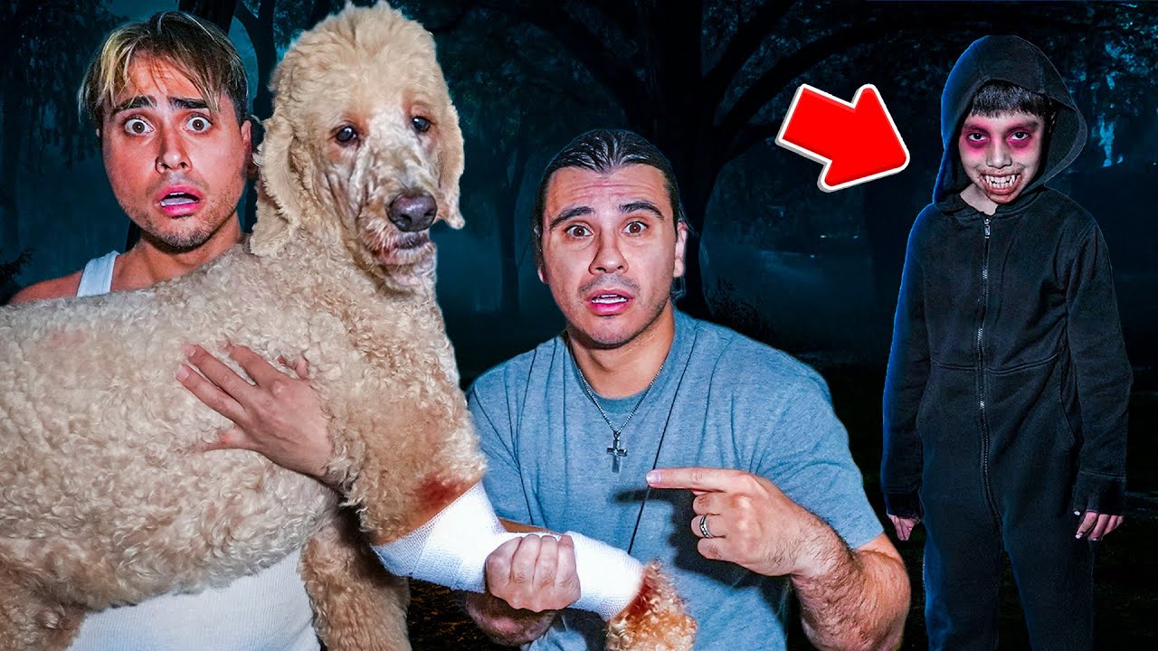 Scary Little Boy ATTACKED Our Dog!