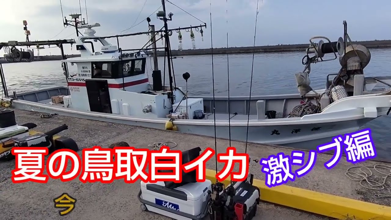 夏の鳥取白イカ🦑赤碕沖激シブ編