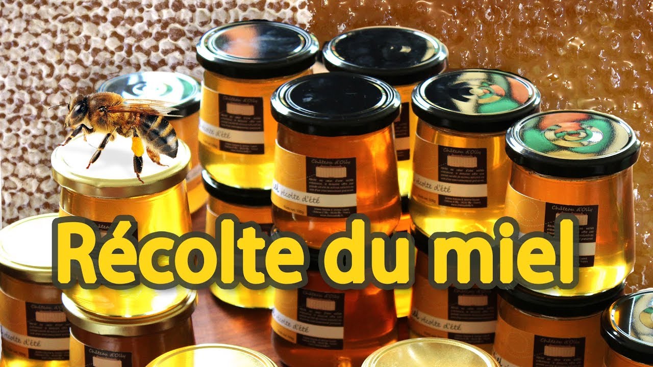 🍯 Збор мёду, усе этапы 🐝