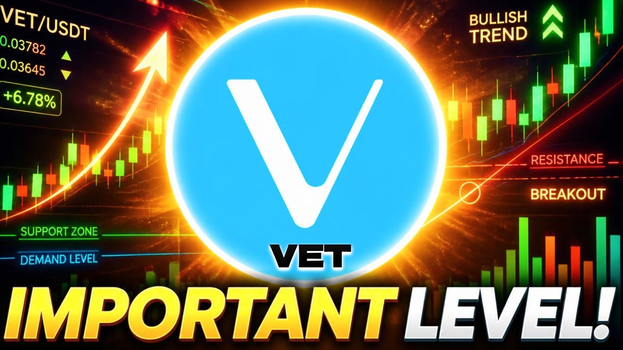 VECHAIN: All Eyes On This Important Level! - VECHAIN Price Prediction