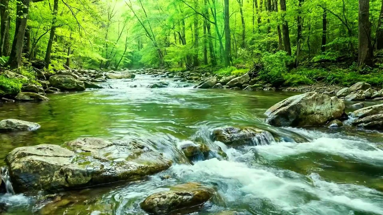 Relaxing Stream Flow and Chirping Birds in Forest, 12 Hours of White Noise for Deep Restful Sleep