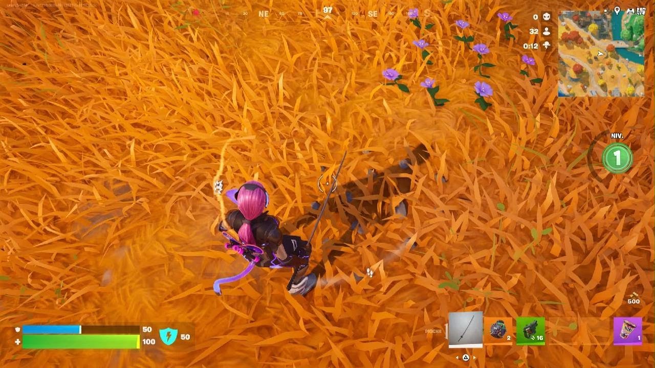 Fortnite_