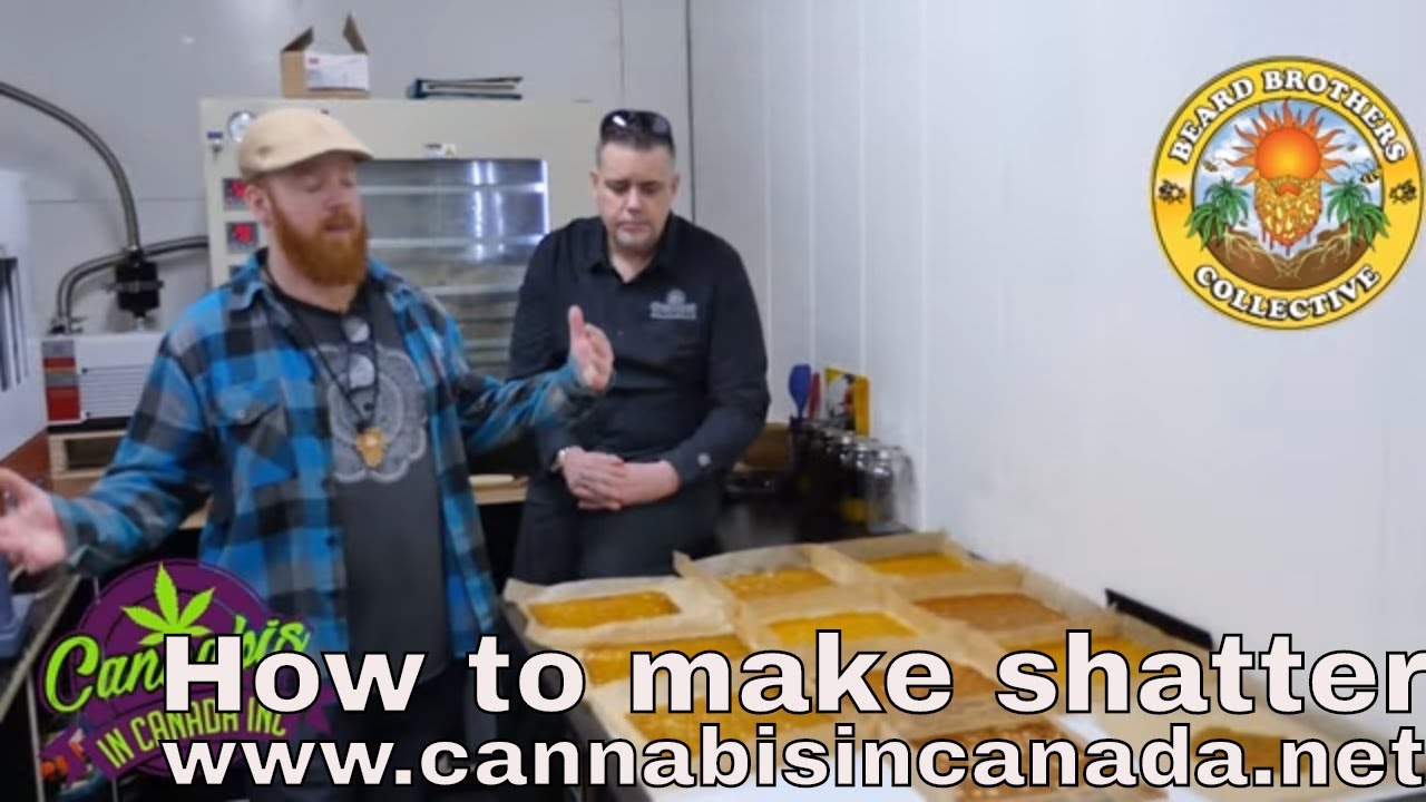 Growing Cannabis From Soil To The Oil