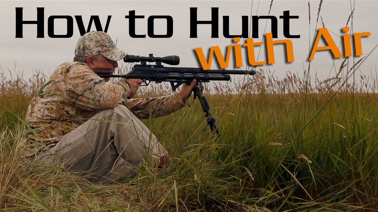 How To Hunt with Air Rifles and Air Guns : Airgunner TV Round Table