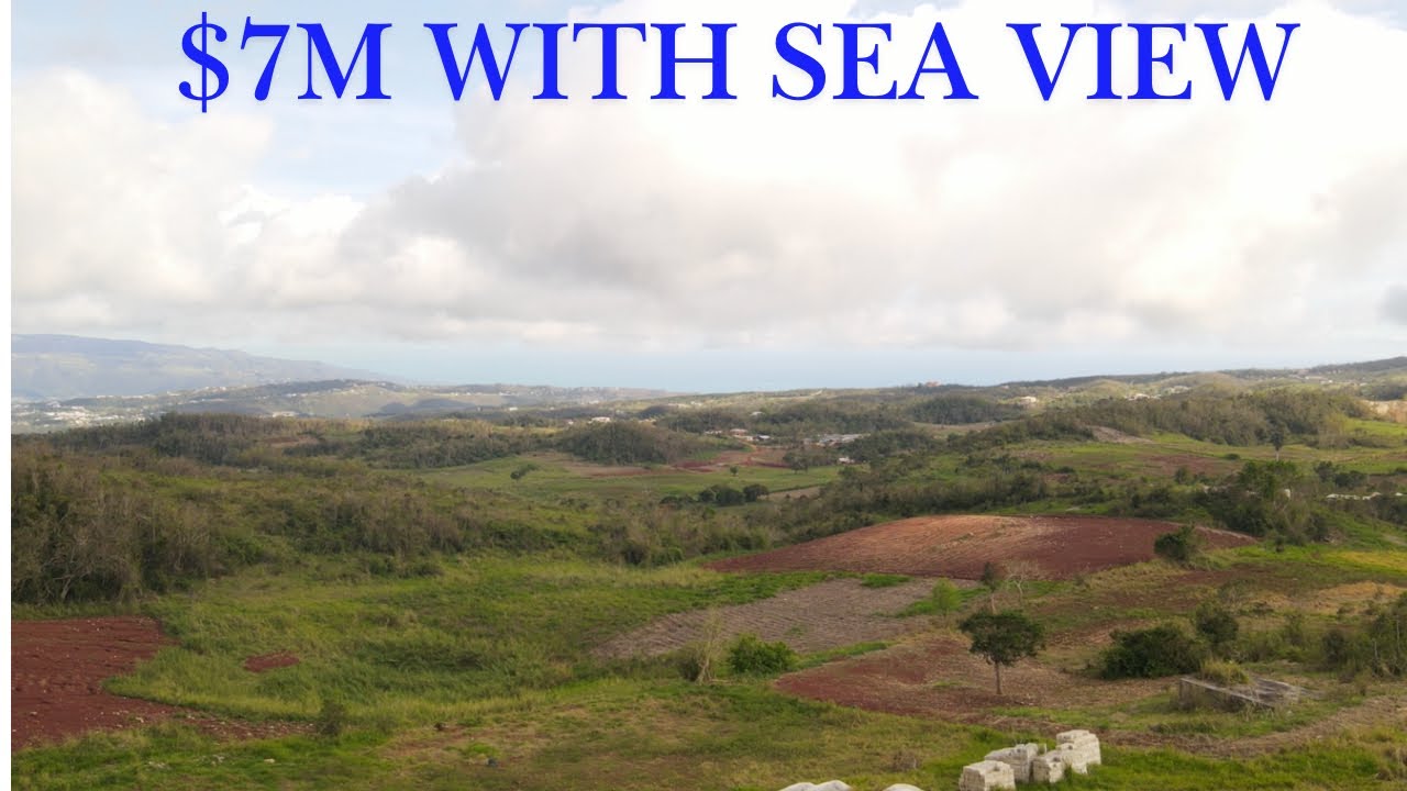 Что вы получите за 7 миллионов долларов, купив Sea View на Ямайке
