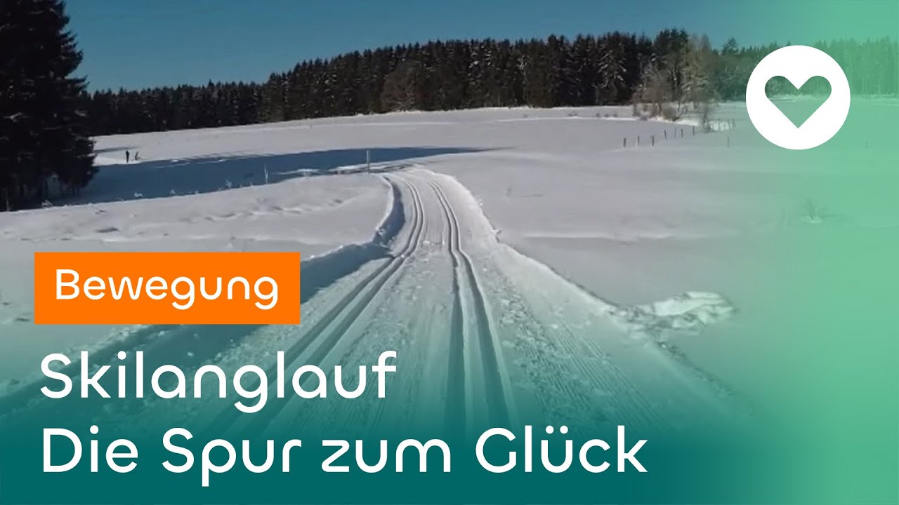 Skilanglauf - Und immer lockt die Loipe
