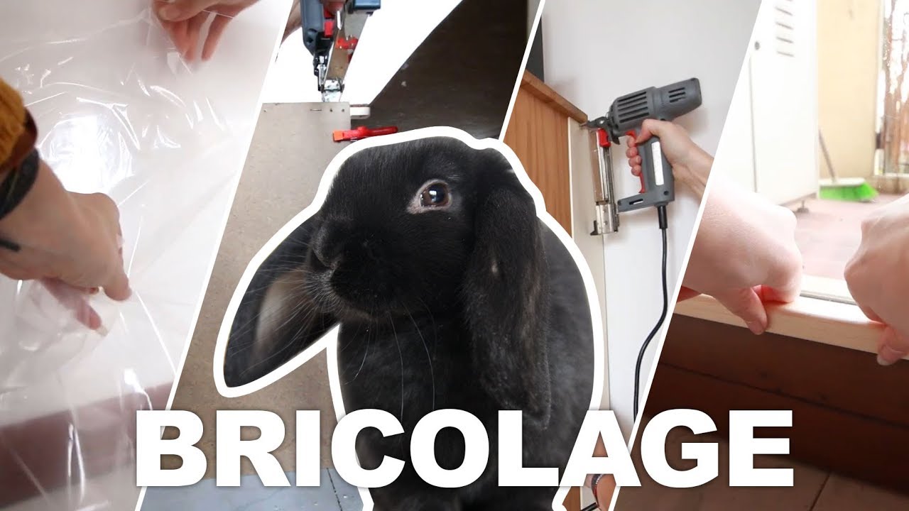 Bricolage pour mes lapins : astuces, aménagement, protection, sécurisation