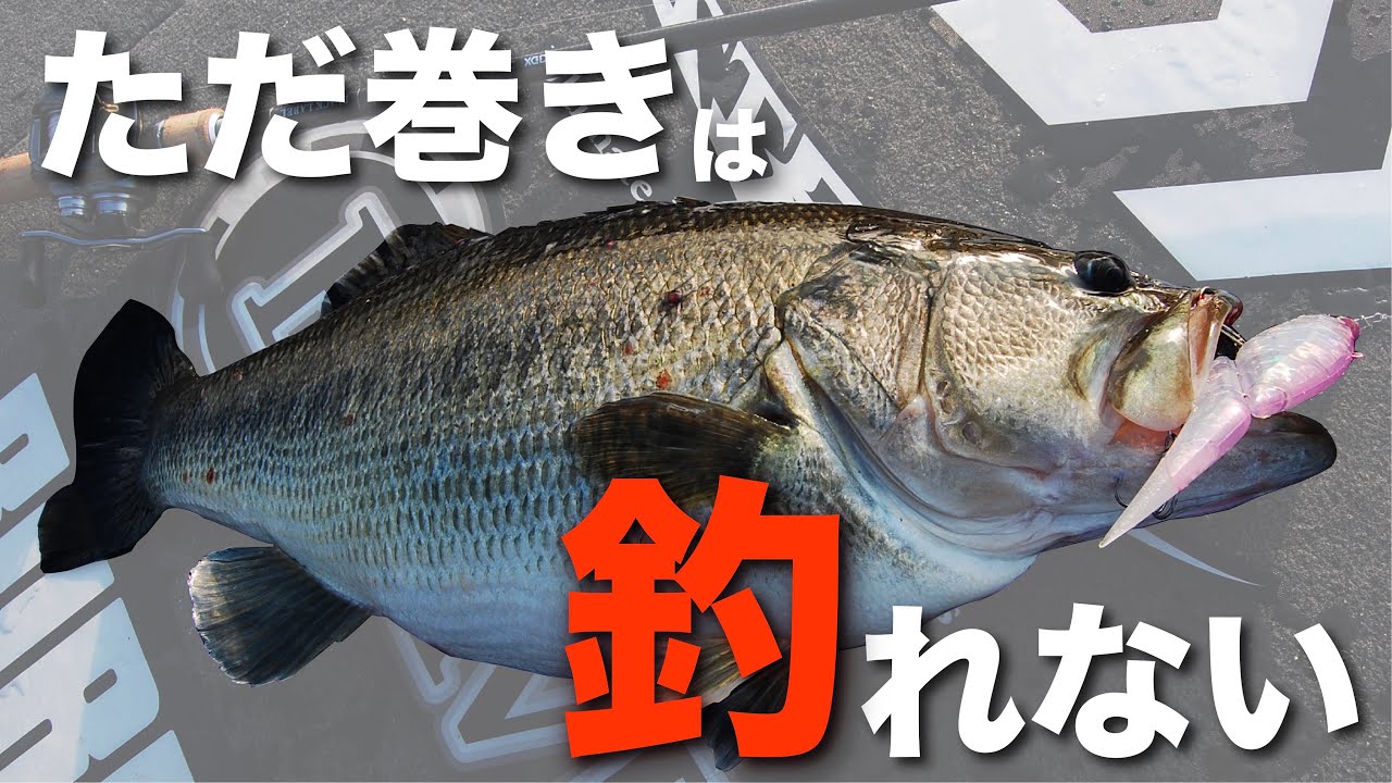 釣れる「ただ巻き」できていますか？