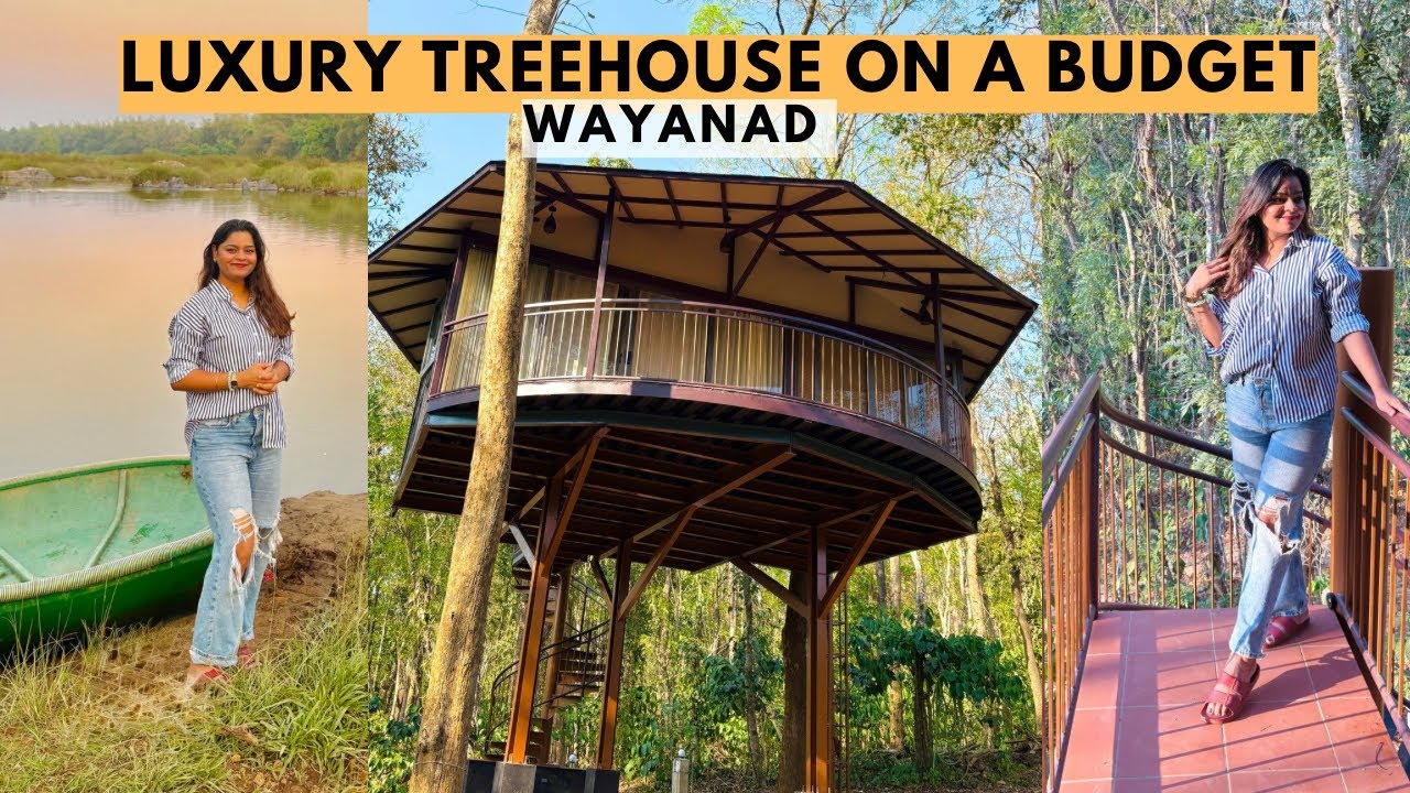Budget friendly Stay in Wayanad | Pugmarks Jungle resort | Jacuzzi in Treehouse #wayanad #kerala