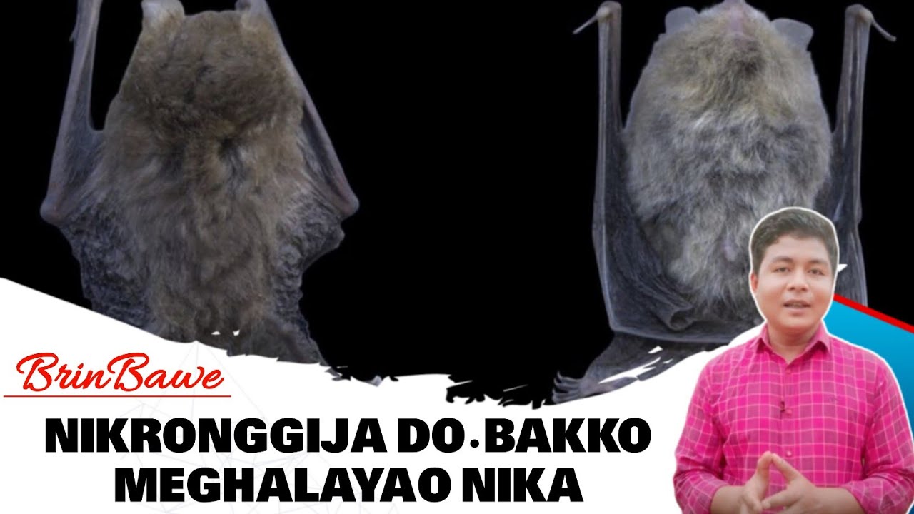 Meghalayao Nikronggija Do·bakko Nika | Ian Indiao Skanggipa Ong·aha | BrinBawe 