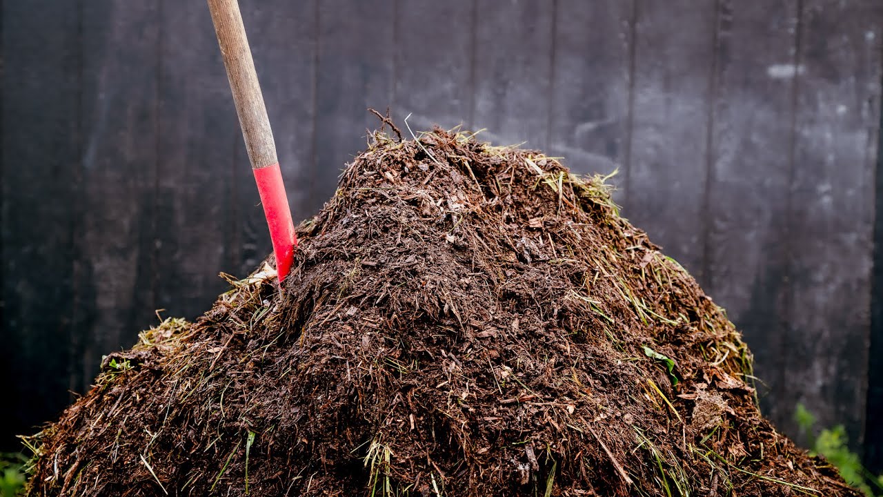 Six Ways to Level Up Your Compost