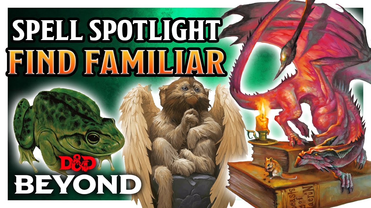 Why You Should Take Find Familiar | Spell Spotlight | D&D Beyond