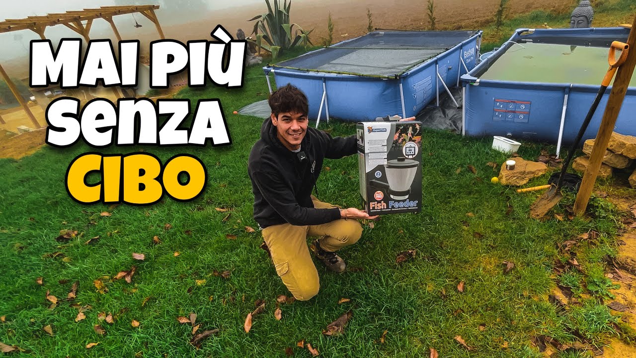 MANGIATOIA AUTOMATICA per CARPE KOI