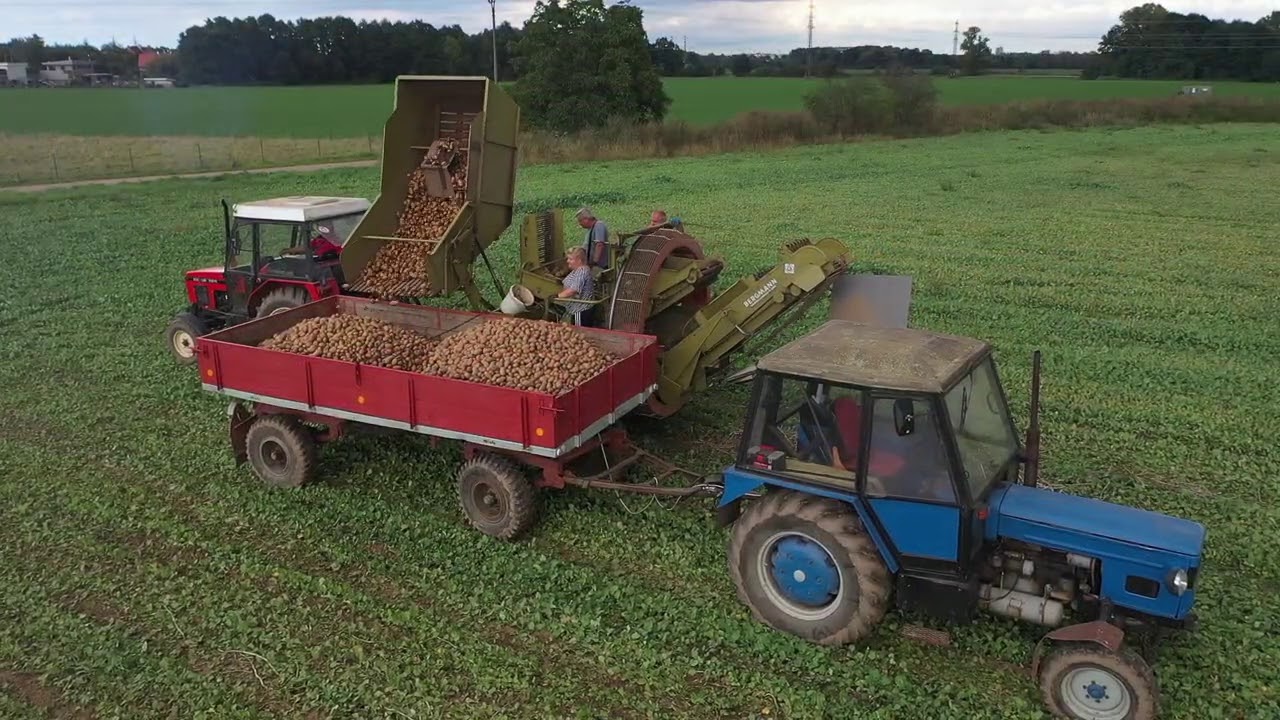 🥔BRAMBOROVÁ KAMPAŇ 2020🥔//🥔BRAMBORY U SOUKROMNÍKA🥔//🚜ZETOR🚜//
