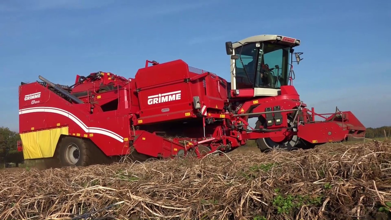 Grimme SF 150-60 aardappels rooien | potato harvest | Kartoffelernte