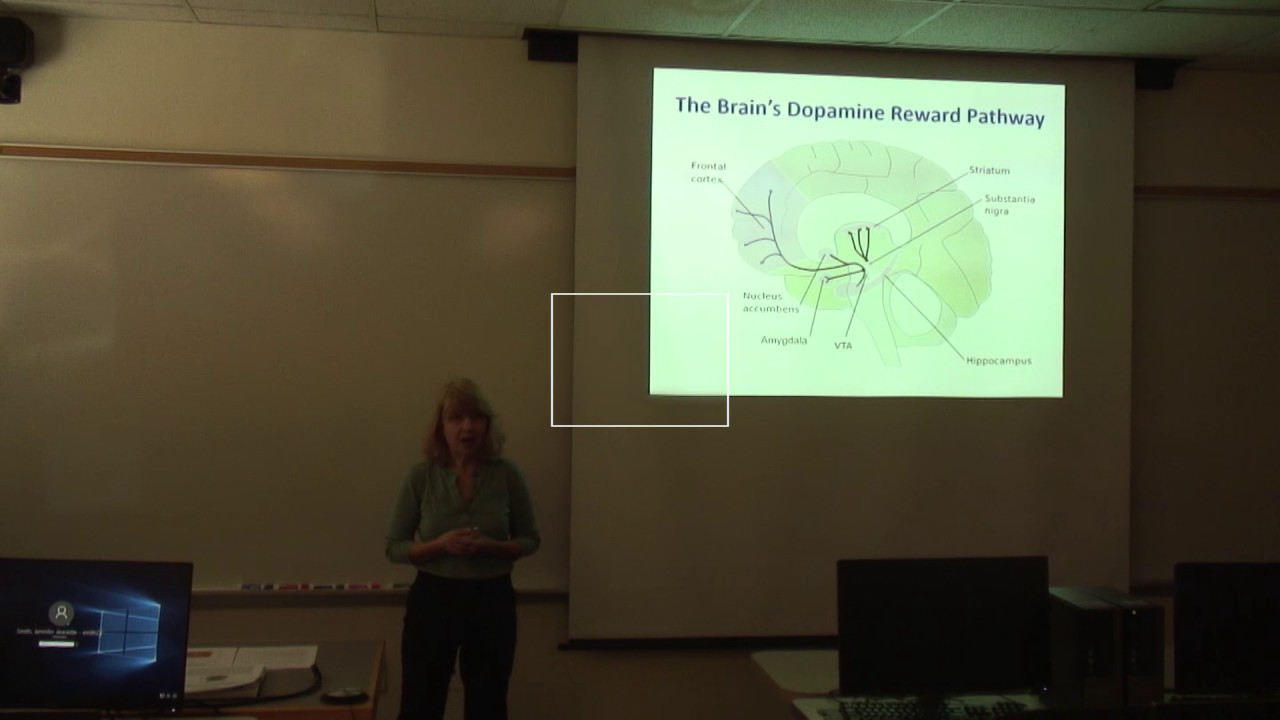 How Your Brain Encodes a Prediction Error Signal: An Experiment on Monkey Dopamine Neurons