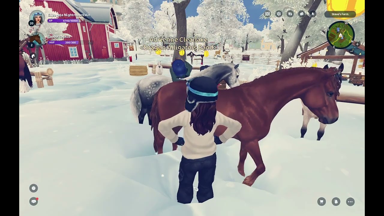 Star Stable! Buying NEW Connemara Horses!
