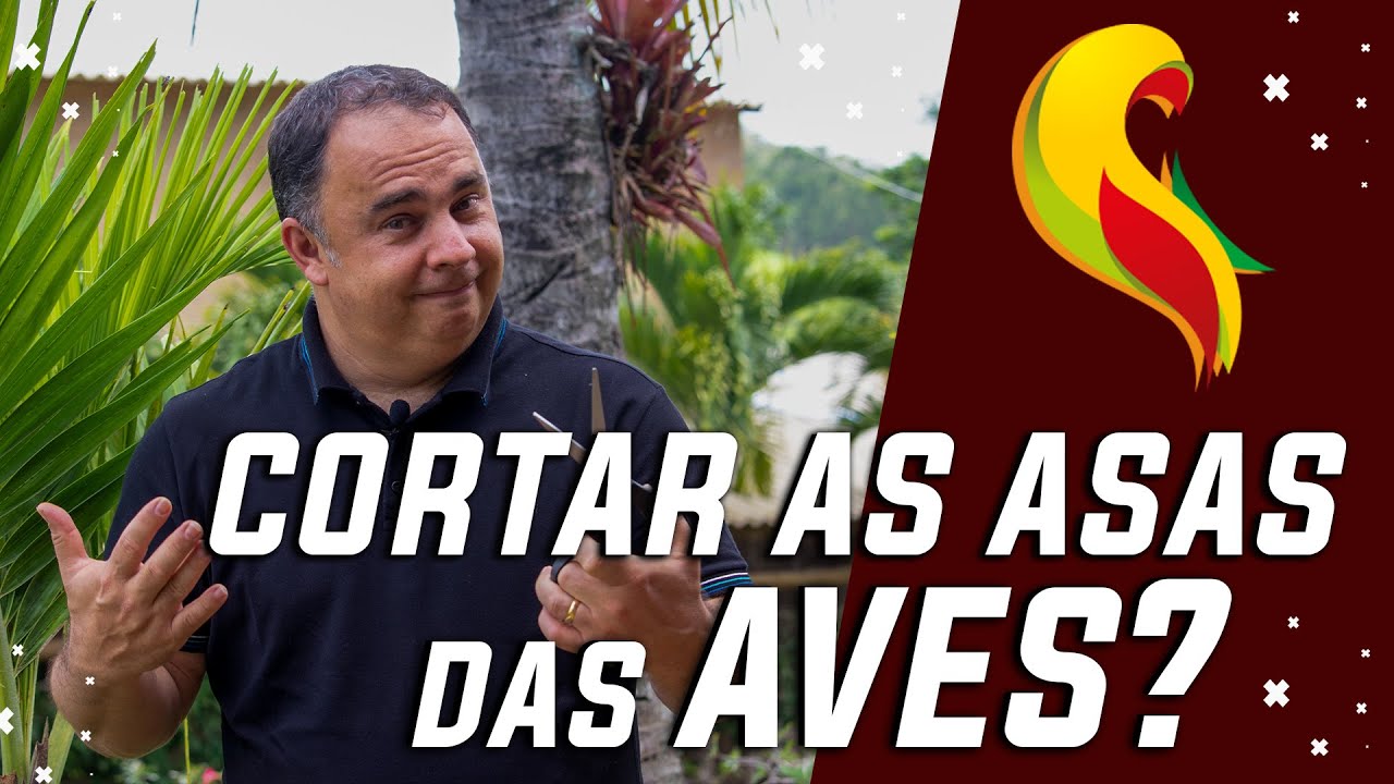CORTAR AS ASAS DAS AVES?