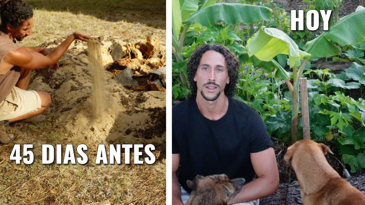 La Épica Explosión de un Bosque de Alimentos - 45 Dias de la Siembra en Pura Arena