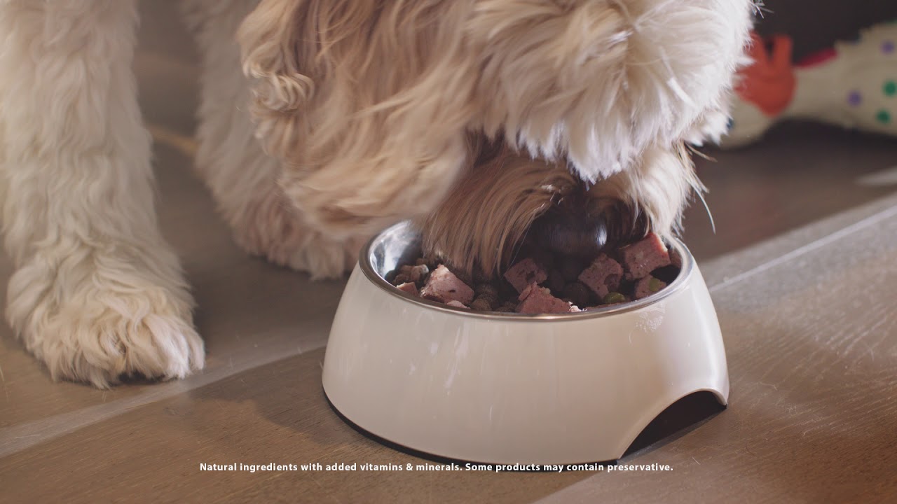 Nature&rsquo;s Gift Dog Food - Natural ingredients with added vitamins and minerals