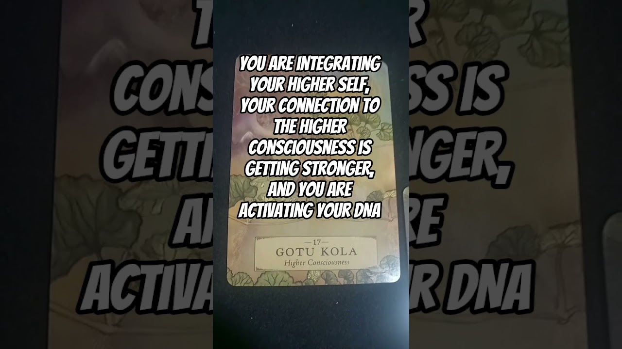 ⭐ #chosenones #divine #soul #tarot #tarotreader #tarotreading #tarotcards #divineunion #chosen