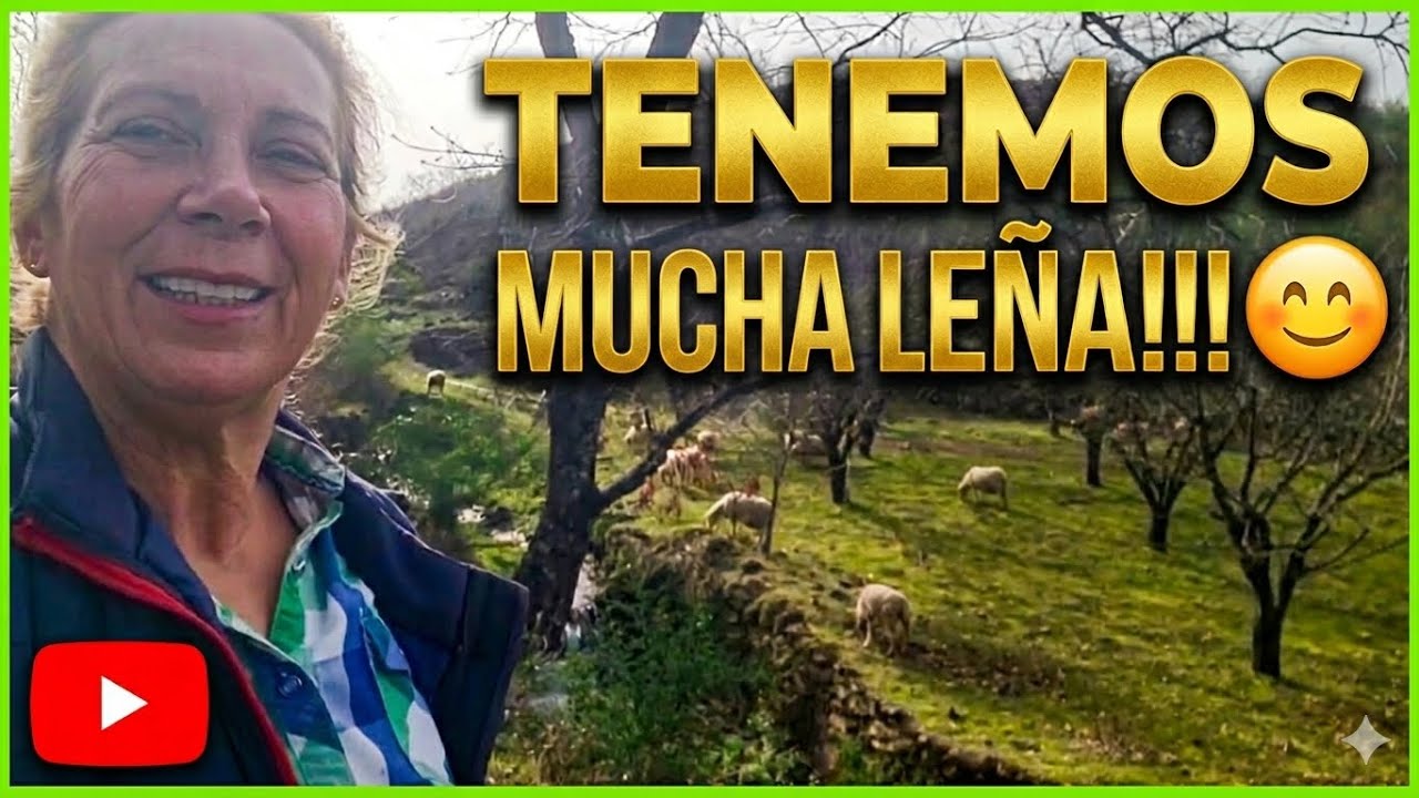 TENEMOS MUCHA LEÑA Y LA MEJOR LA ENCINA!!