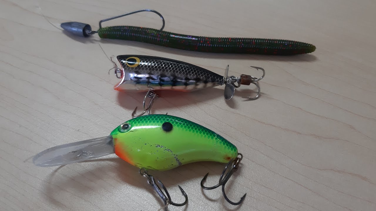 3 señuelos básicos para la pesca de lobina.