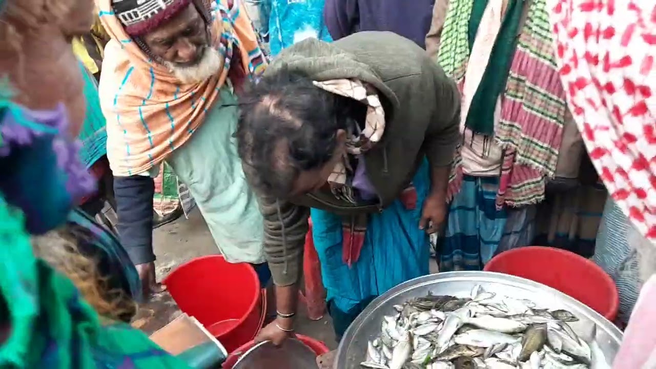 সিরাজদিখান বাজার মাছের আরত