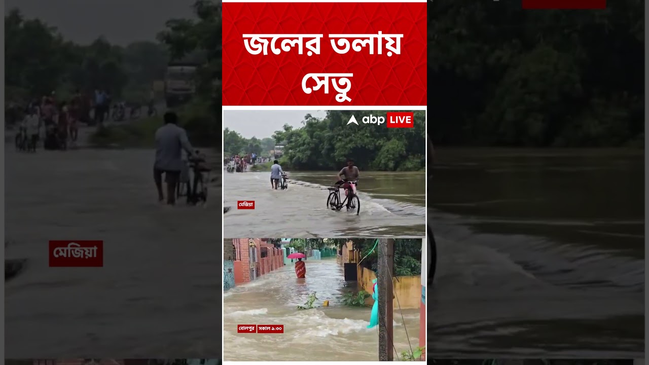 জলের তলায় সেতু   #shorts #abpananda
