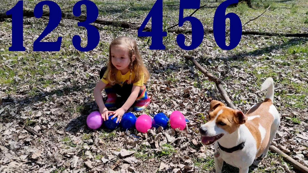 Dragons: Rescue Riders Forest Surprise Egg Hunt. Learn Numbers Counting To 6. Playtime With Kayla.