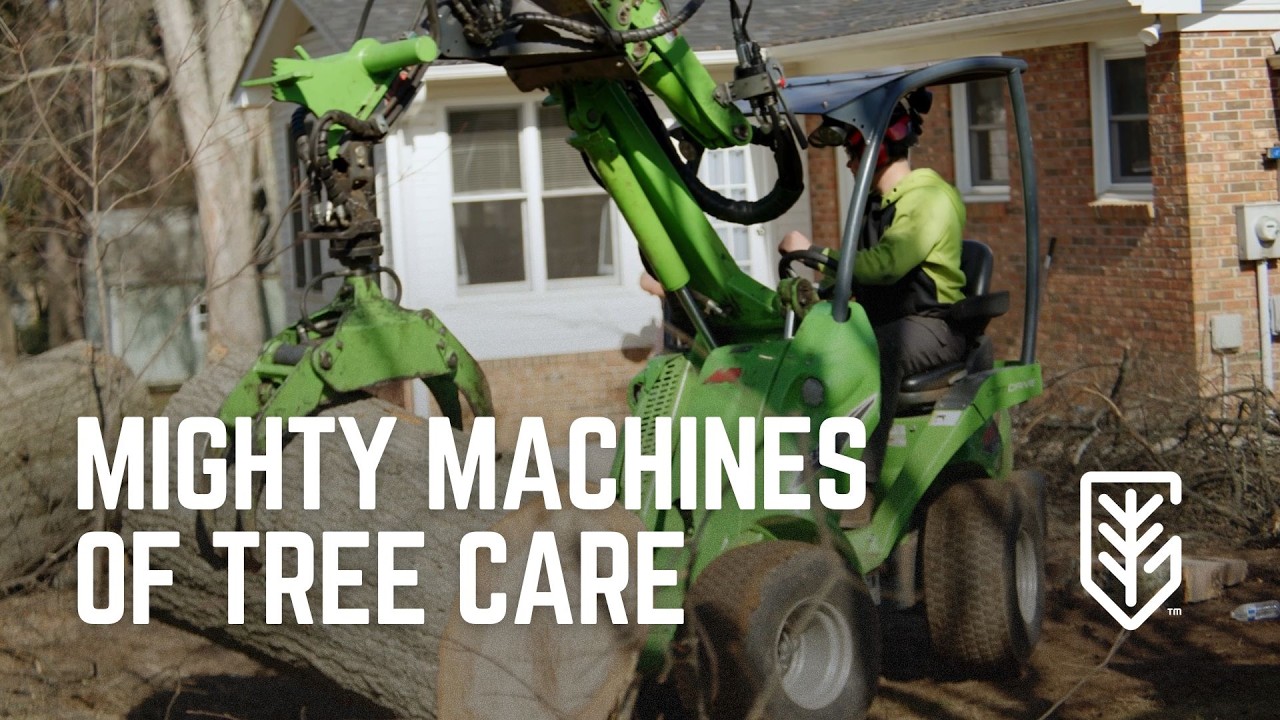 What Machines Are Used in Tree Removal? | Greenville Tree Co