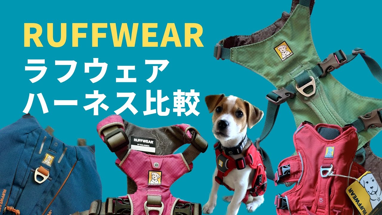 Jack & Momo 『RUFFWEAR ラフウェア ハーネス比較』